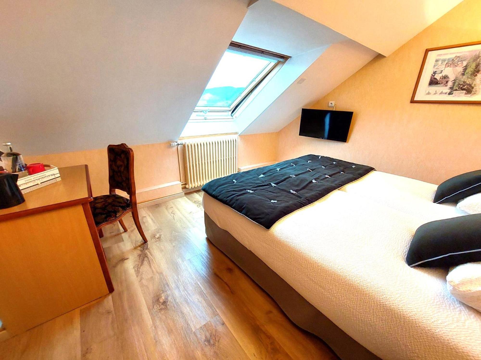 Logis Hotel & Restaurant Des Lacs Celles-sur-Plaine Eksteriør billede